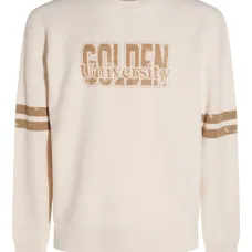 Толстовка с логотипом