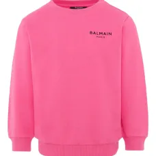 Толстовка с логотипом