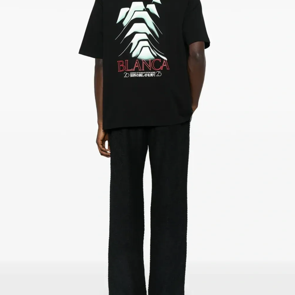 Футболка Frosty Mountain Футболка Frosty Mountain