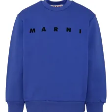 толстовка с логотипом толстовка с логотипом