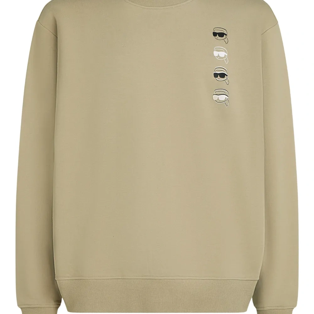 Толстовка Ikon