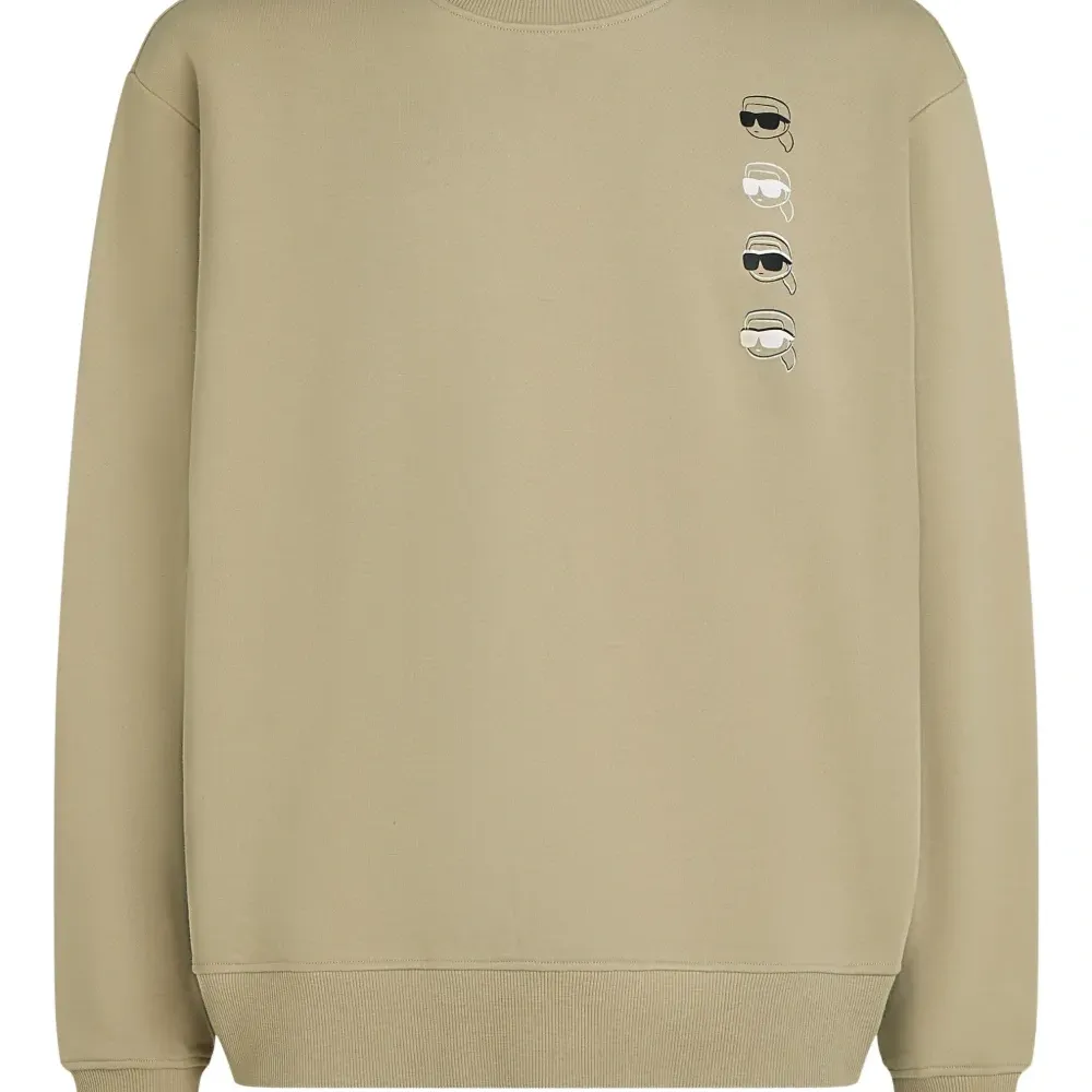 Толстовка Ikon