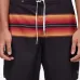 Плавки-шорты Colorado Stripes