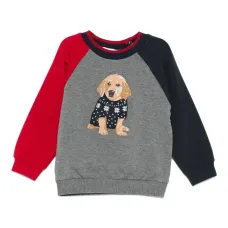 Толстовка с рукавами реглан