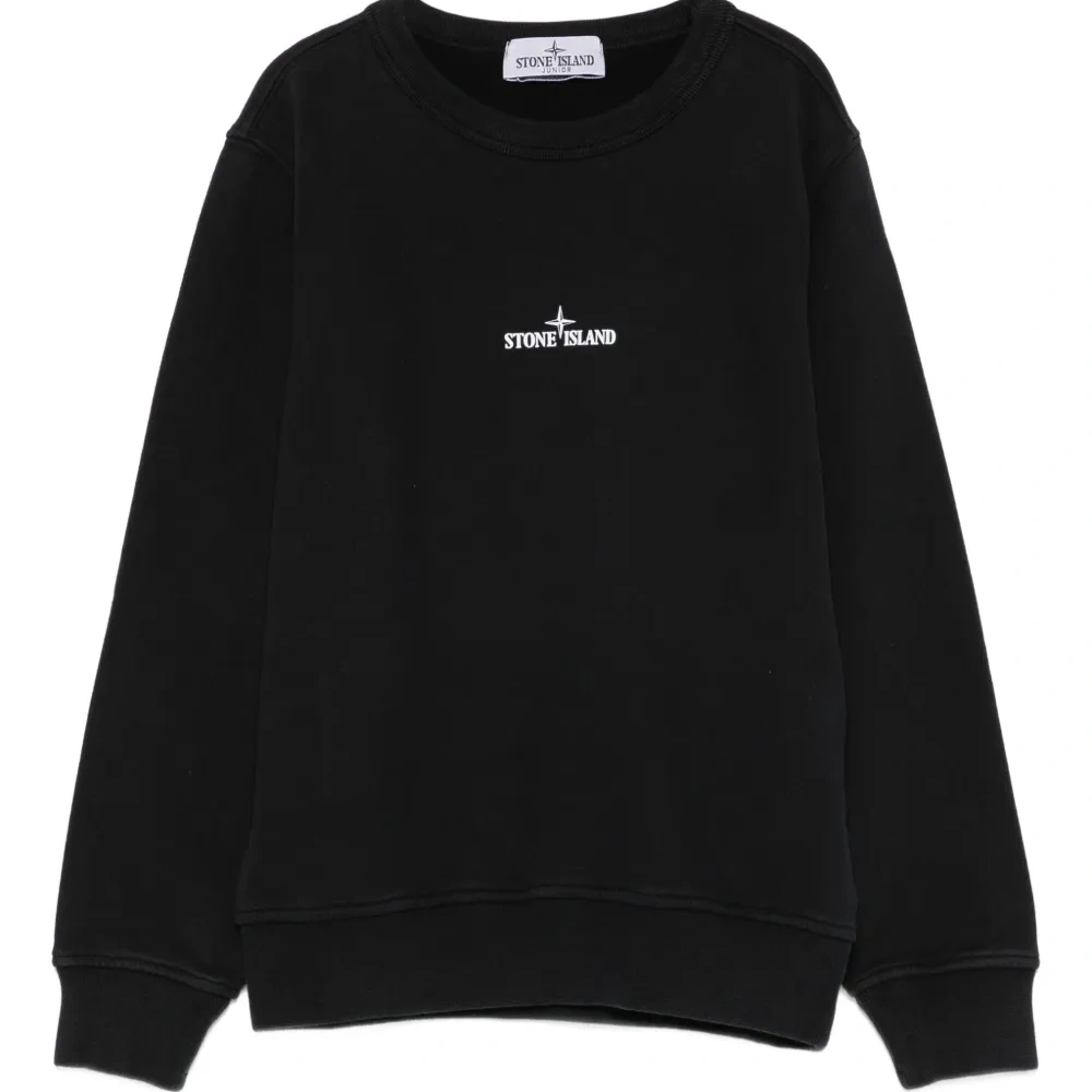 толстовка с логотипом Compass