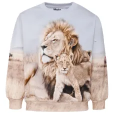 толстовка Miksi с принтом