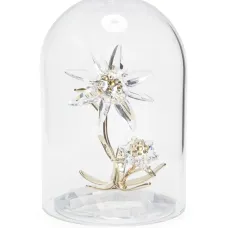 Банка Florere 130th Anniversary