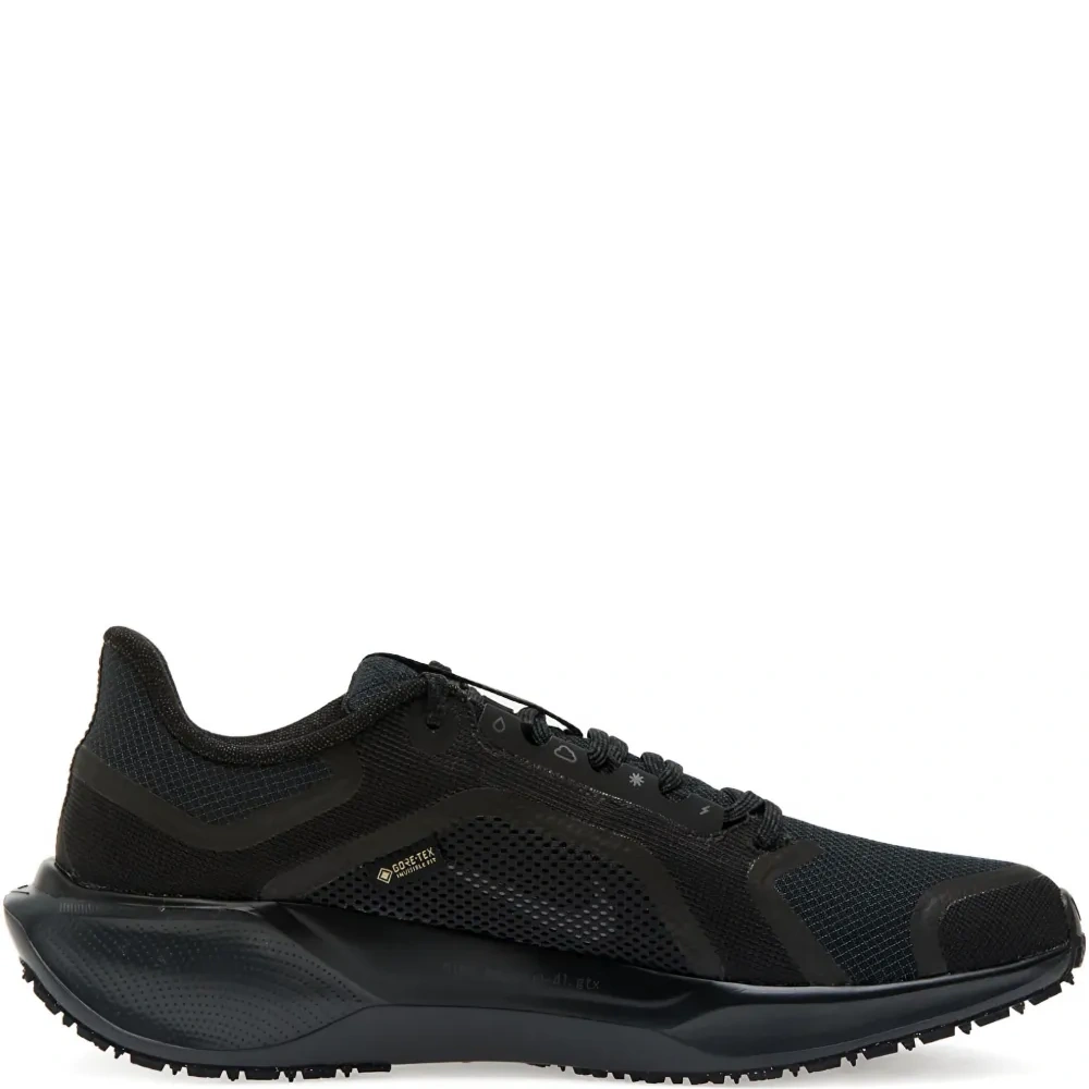 Кроссовки Pegasus 41 Gore-Tex