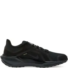 Кроссовки Pegasus 41 Gore-Tex