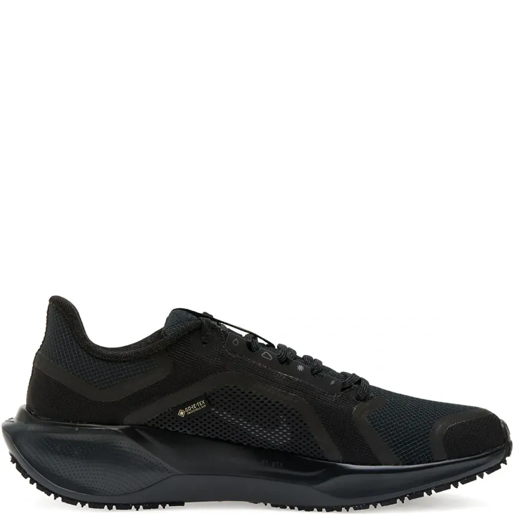 Кроссовки Pegasus 41 Gore-Tex