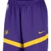 шорты NBA Lakers Icon