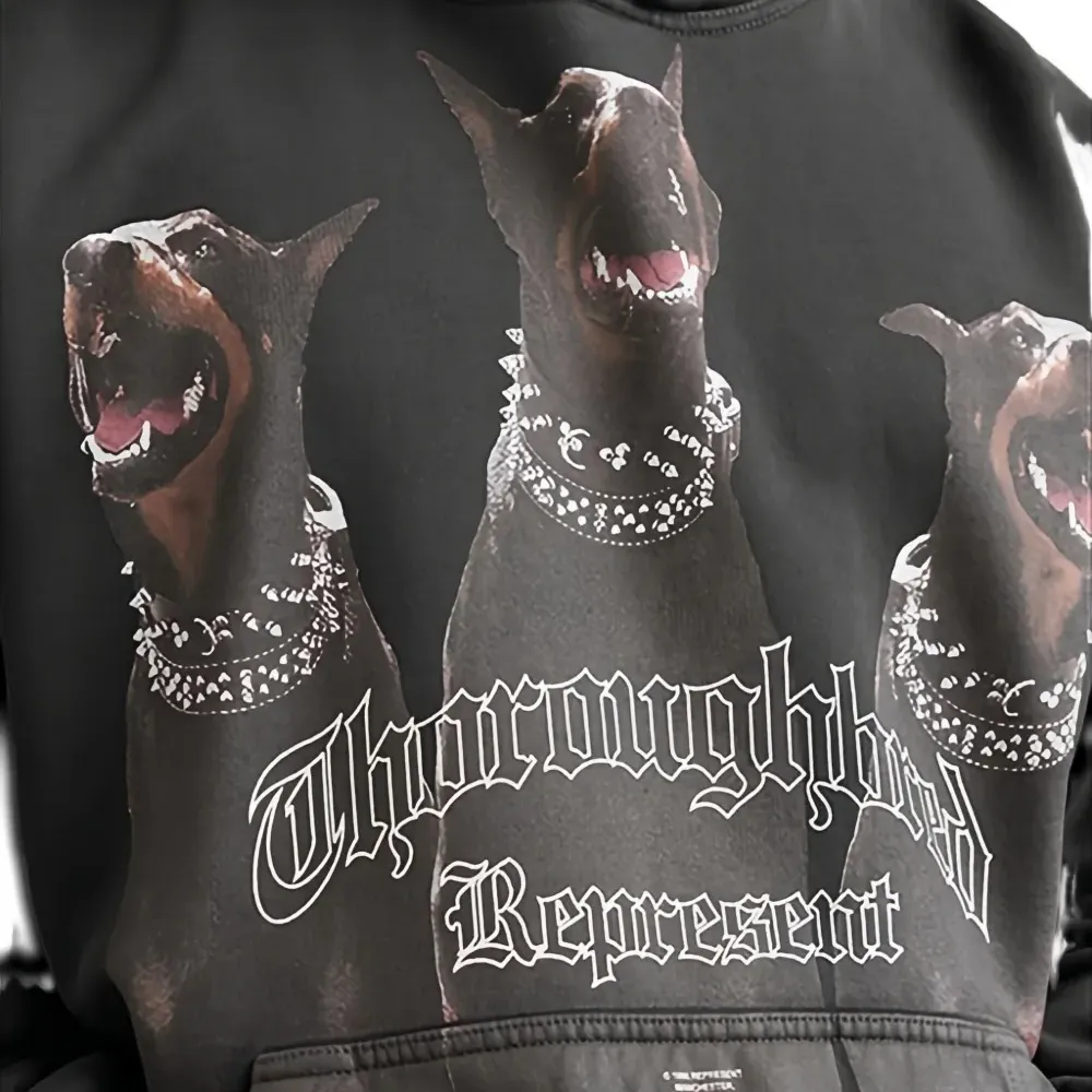 Худи с принтом "Чистокровная лошадь"