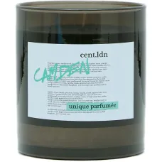 ароматическая свеча Camden (300 г) ароматическая свеча Camden (300 г)