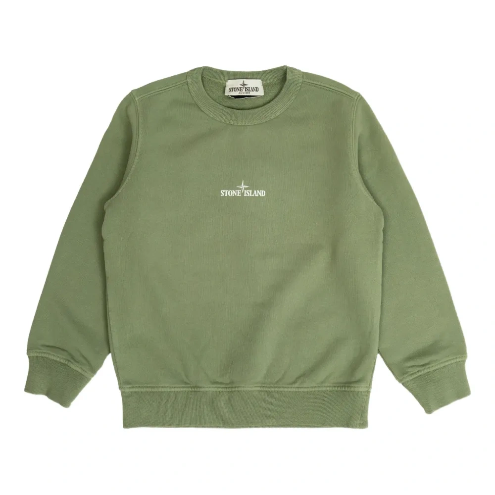 толстовка с логотипом