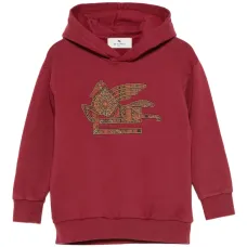 худи с логотипом Pegasus