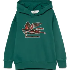 худи с вышивкой Pegaso