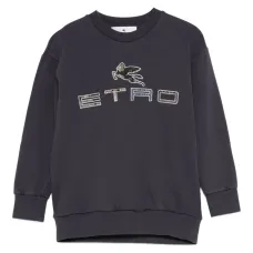 толстовка с логотипом Pegasus