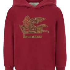 худи с вышивкой Pegaso