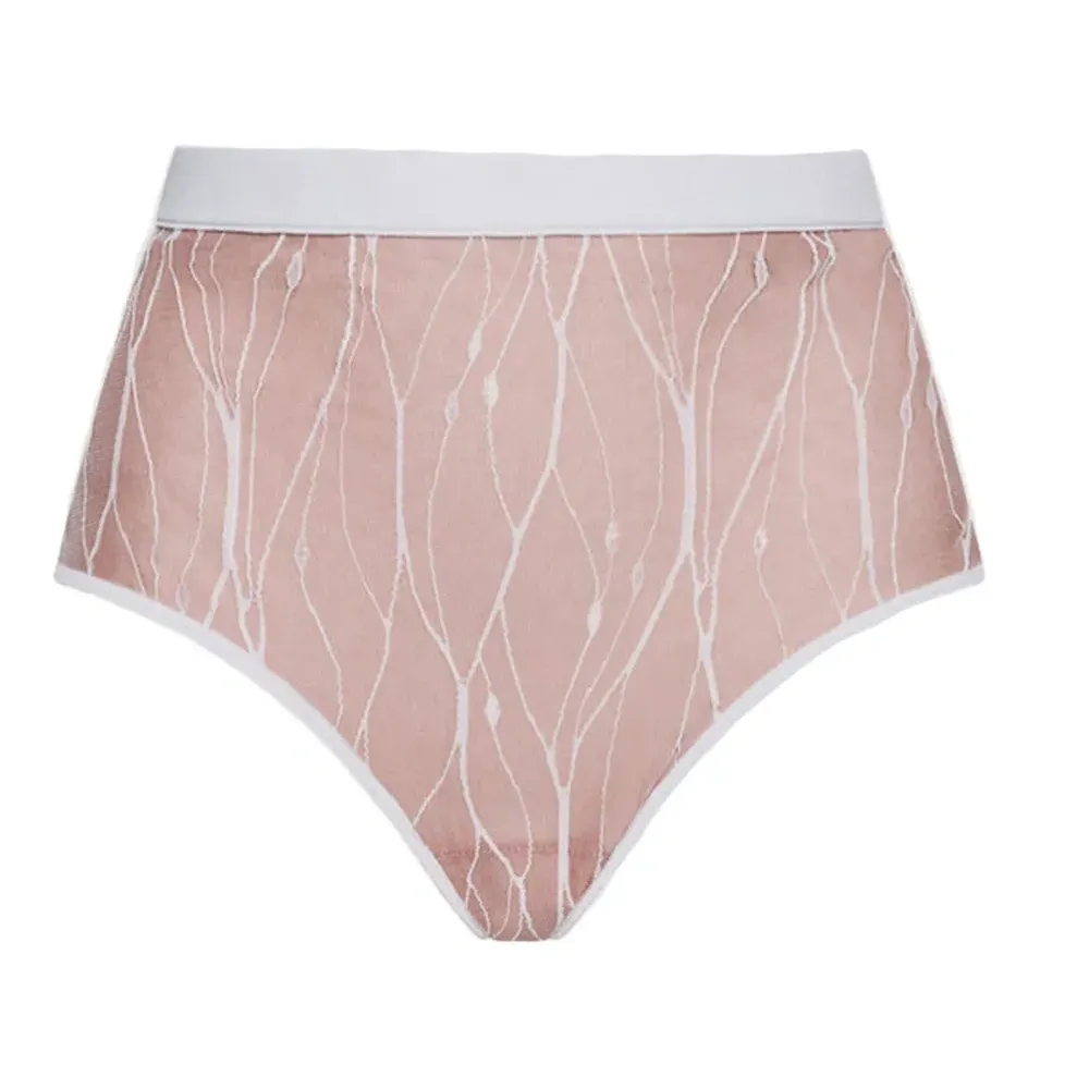 Кружевные трусы-брифы Walking In Clouds