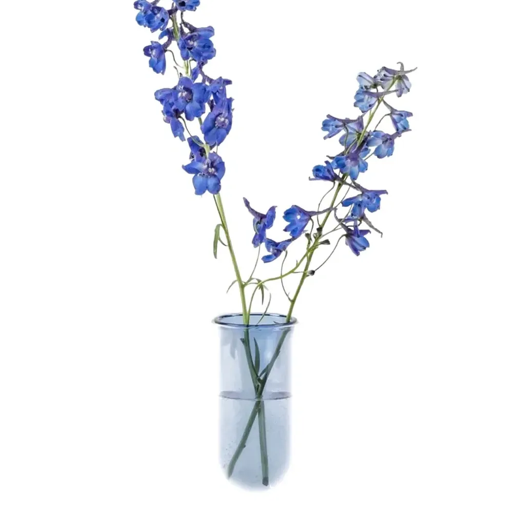 Стеклянная ваза