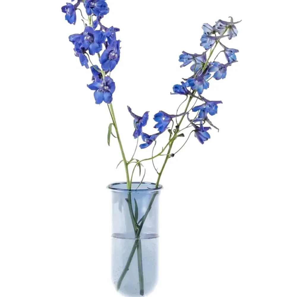 Стеклянная ваза