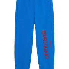 Спортивные брюки с логотипом