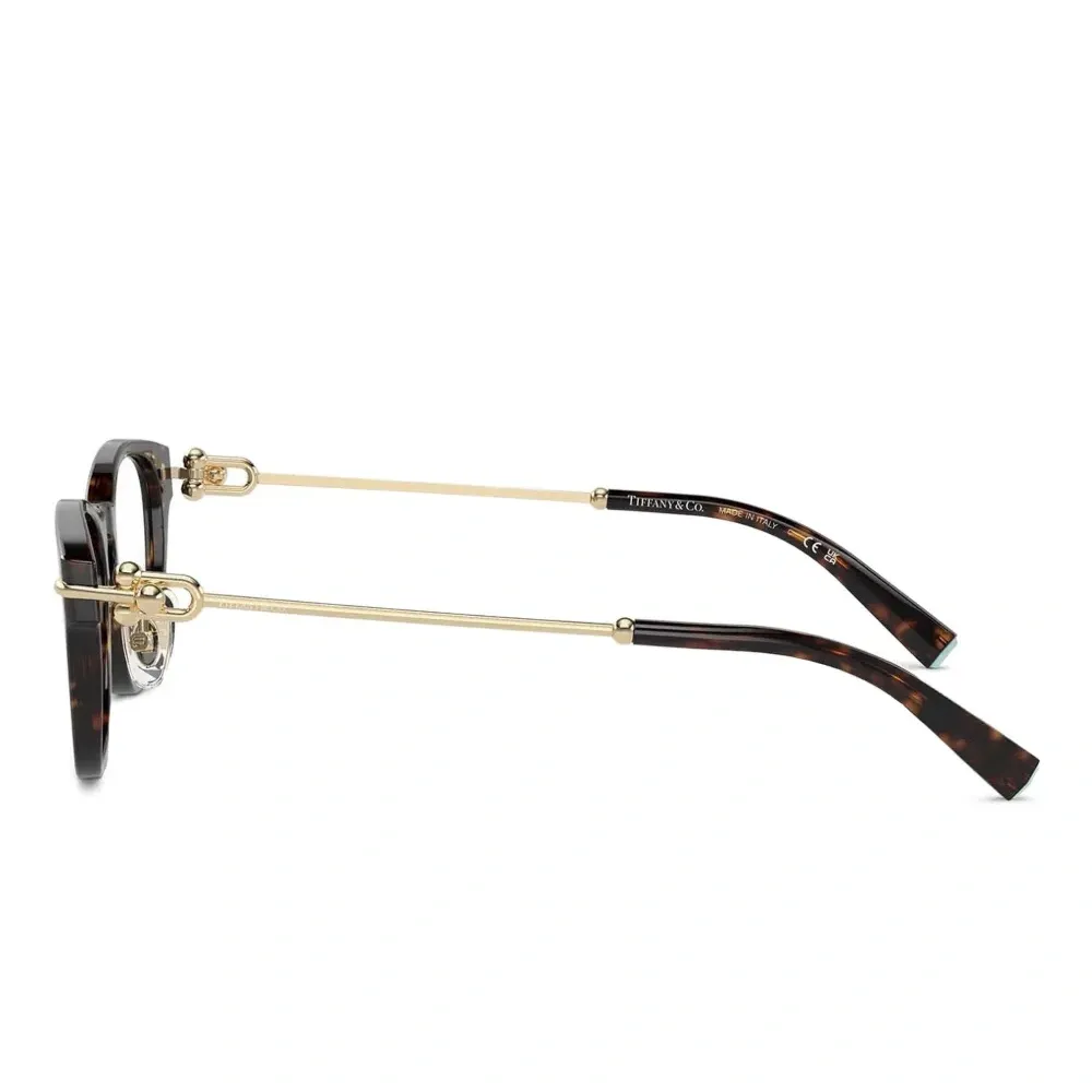 Очки в оправе черепаховой расцветки Очки в оправе черепаховой расцветки