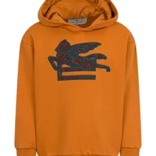 Толстовка pegasus с узором пейсли Толстовка pegasus с узором пейсли