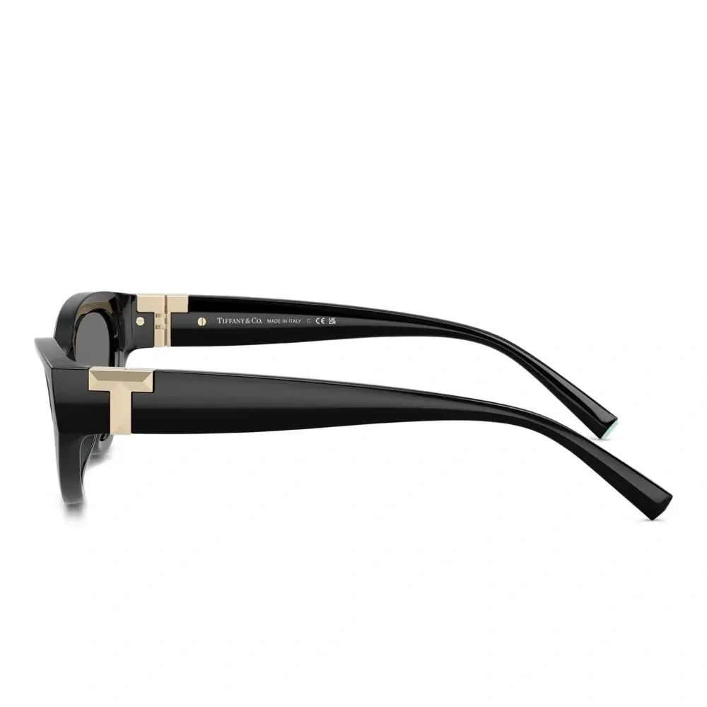 Солнцезащитные очки TF4225U в оправе 'кошачий глаз' Солнцезащитные очки TF4225U в оправе 'кошачий глаз'