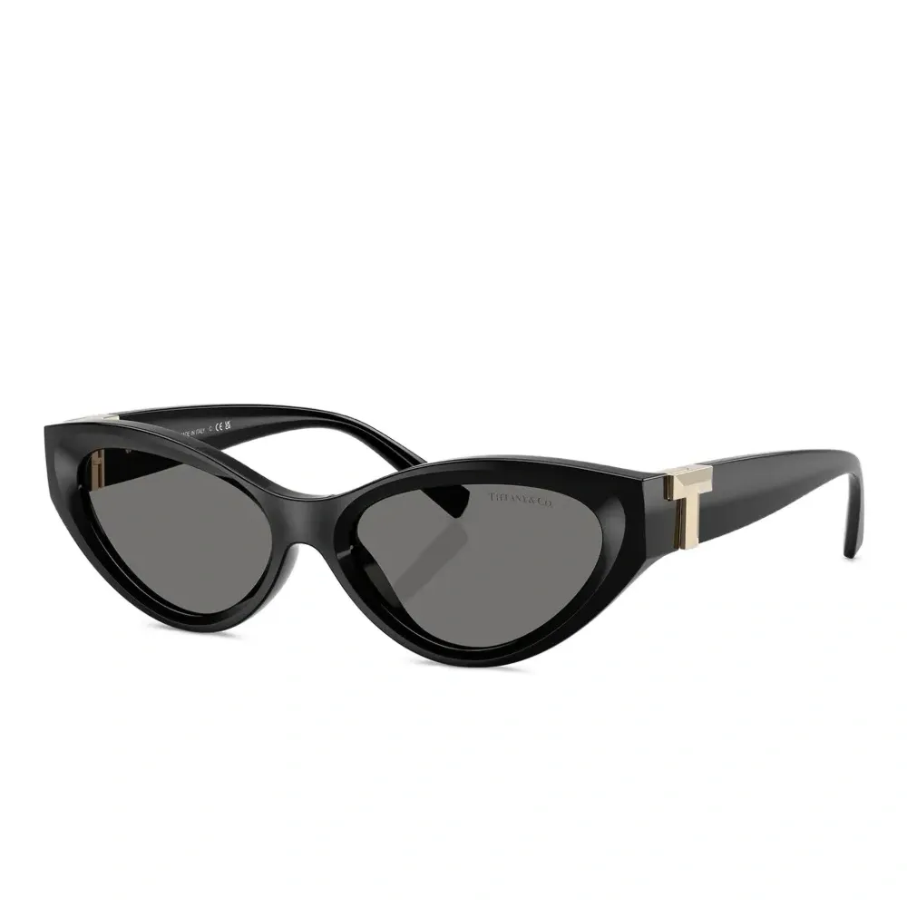 Солнцезащитные очки TF4225U в оправе 'кошачий глаз' Солнцезащитные очки TF4225U в оправе 'кошачий глаз'