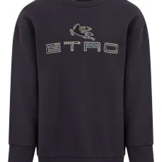 Толстовка с логотипом