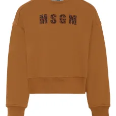 Толстовка с логотипом Толстовка с логотипом