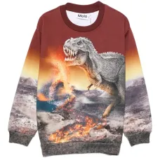 Толстовка с принтом