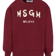 Толстовка с логотипом