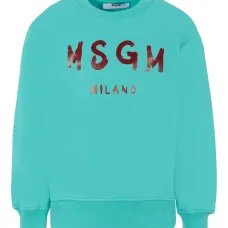 Толстовка с логотипом Толстовка с логотипом