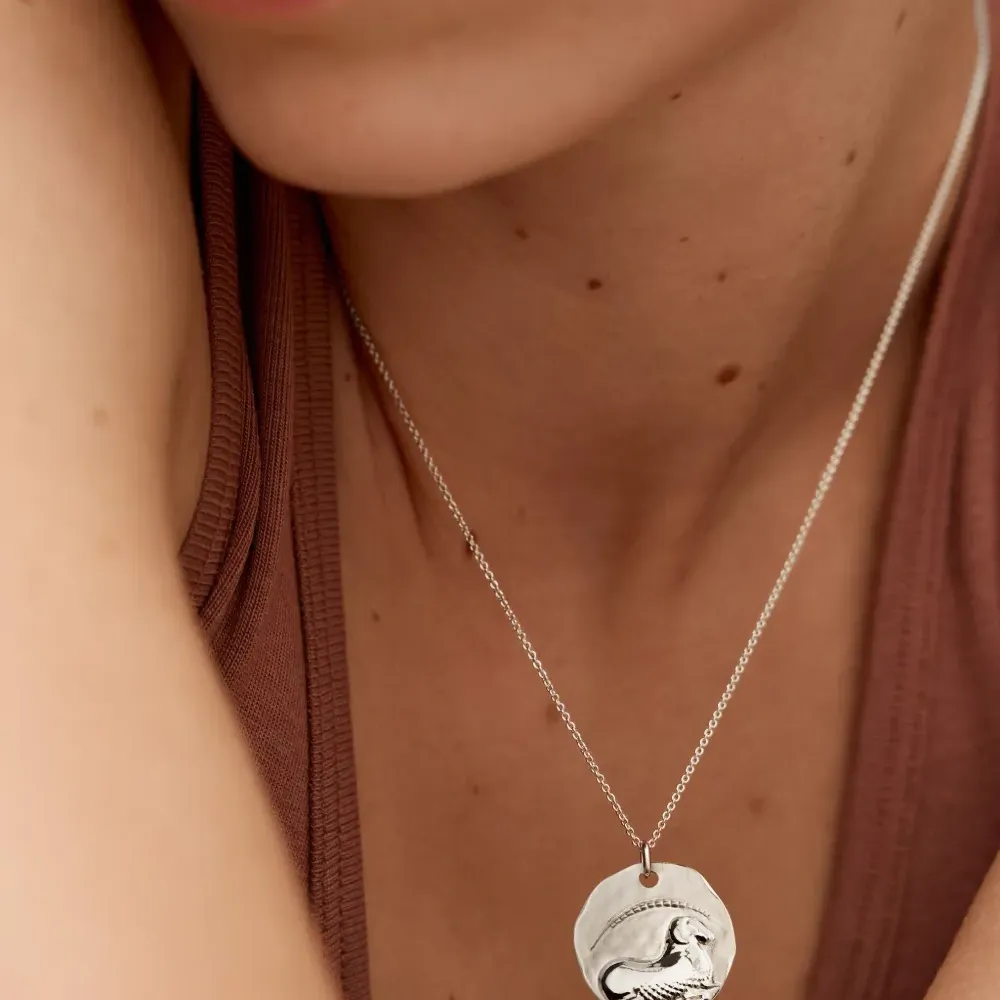 Колье Aries Zodiac с подвеской Колье Aries Zodiac с подвеской