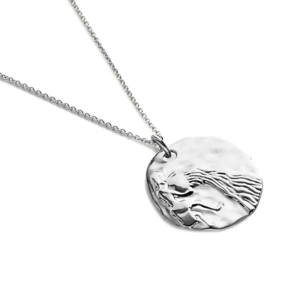 Колье Aquarius Zodiac с подвеской Колье Aquarius Zodiac с подвеской