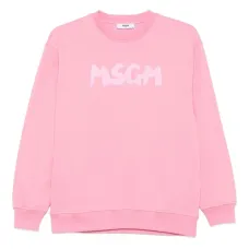 Толстовка с логотипом Толстовка с логотипом