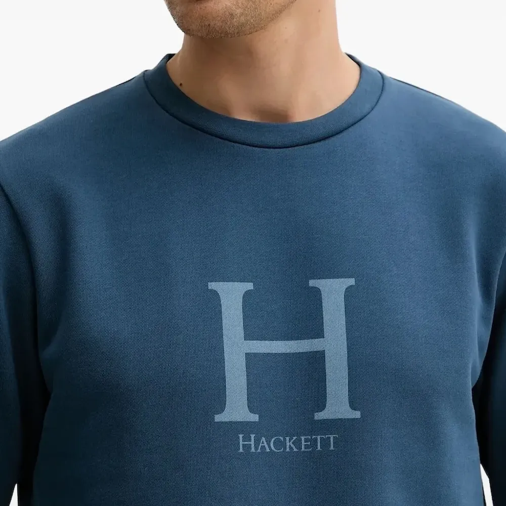 Толстовка с логотипом