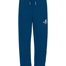 спортивные брюки с логотипом