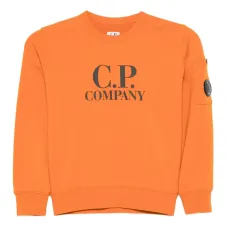 Толстовка с логотипом