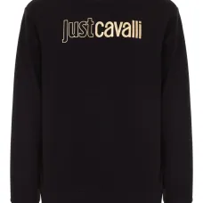 Толстовка с логотипом Толстовка с логотипом