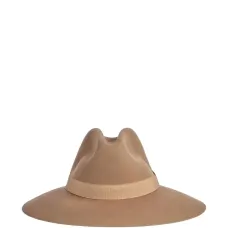 Фетровая шляпа с широкими полями Фетровая шляпа с широкими полями