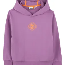 Толстовка с капюшоном и логотипом