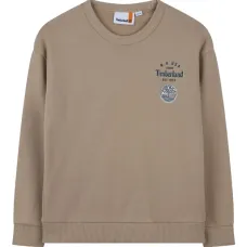 Толстовка с принтом