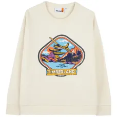 Толстовка с принтом