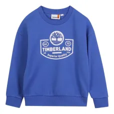 Толстовка с логотипом Толстовка с логотипом