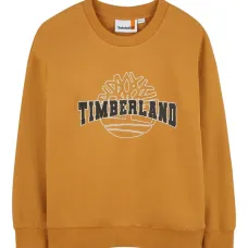 Толстовка с логотипом Толстовка с логотипом