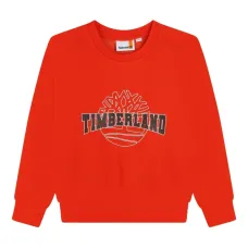 Толстовка с логотипом Толстовка с логотипом