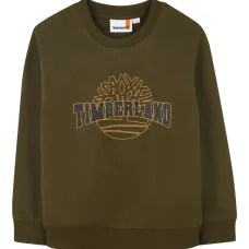 Толстовка с логотипом Толстовка с логотипом